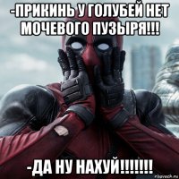 -прикинь у голубей нет мочевого пузыря!!! -да ну нахуй!!!!!!!