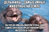 дельфины - самые умные животные на земле вы когда-нибудь видели чтобы они самостоятельно представляли свои интересы в суде?