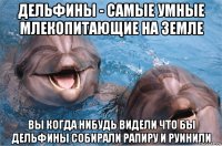 дельфины - самые умные млекопитающие на земле вы когда нибудь видели что бы дельфины собирали рапиру и руинили