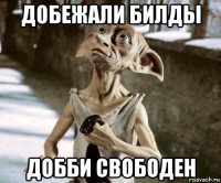 добежали билды добби свободен