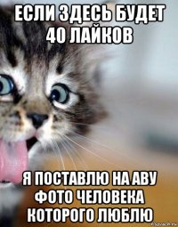 если здесь будет 40 лайков я поставлю на аву фото человека которого люблю