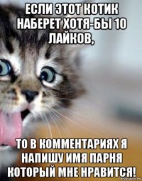 если этот котик наберет хотя-бы 10 лайков, то в комментариях я напишу имя парня который мне нравится!