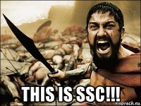  this is ssc!!!