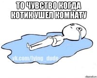 то чувство когда котик ушел комнату 