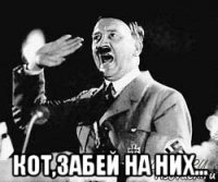  кот,забей на них...