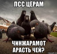 псс цёрам чинжарамот арасть чей?
