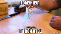 гомункул, я твой отец