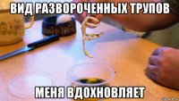 вид развороченных трупов меня вдохновляет