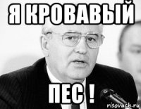 я кровавый пес !