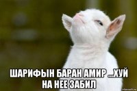  шарифын баран амир ...хуй на нее забил