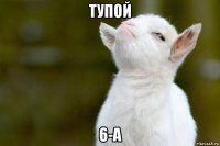 тупой 6-а