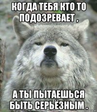 когда тебя кто то подозревает , а ты пытаешься быть серьёзным .