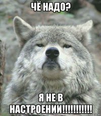 чё надо? я не в настроении!!!!!!!!!!!