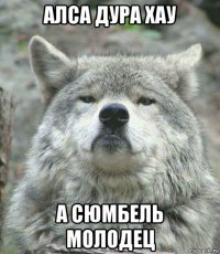 алса дура хау а сюмбель молодец