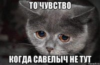 то чувство когда савелыч не тут