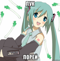 лук порей