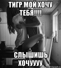 тигр мой хочу тебя!!!! слышишь хочуууу