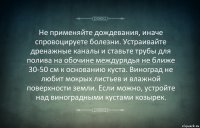 Не применяйте дождевания, иначе спровоцируете болезни. Устраивайте дренажные каналы и ставьте трубы для полива на обочине междурядья не ближе 30-50 см к основанию куста. Виноград не любит мокрых листьев и влажной поверхности земли. Если можно, устройте над виноградными кустами козырек.