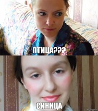 Птица??? Синица