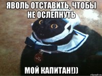 яволь отставить, чтобы не ослепнуть мой капитан!))
