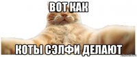 вот как коты сэлфи делают