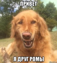 привет я друг ромы