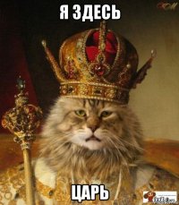 я здесь царь