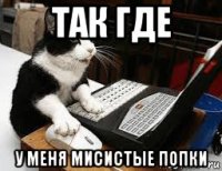 так где у меня мисистые попки