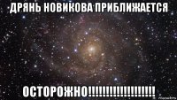 дрянь новикова приближается осторожно!!!!!!!!!!!!!!!!!!!