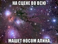 на сцене во всю машет носом алина