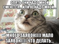 опять они надо мной смеются... или не надо мной... много заявок(((( мало заявок(((( что делать...