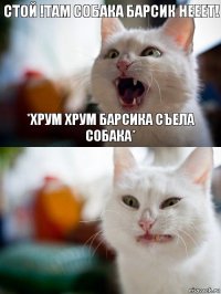 Стой !Там Собака Барсик нееет! *Хрум хрум Барсика съела собака*