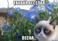 такоая весёлая весна...