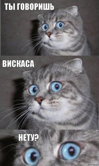 Ты говоришь Вискаса Нету?