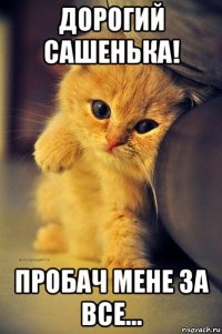 дорогий сашенька! пробач мене за все...