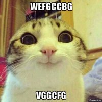 wefgccbg vggcfg