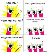 Кто мы? Мы- сумасшедшие Чего мы хотим? Бегать по лужам, как идиоты Когда мы это хотим? Сейчас