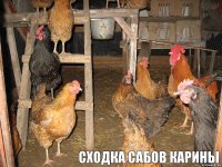      сходка сабов карины