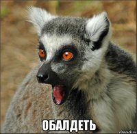  обалдеть