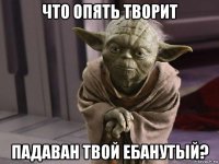 что опять творит падаван твой ебанутый?