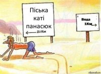 Піська каті панасюк