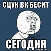 сцук вк бесит сегодня