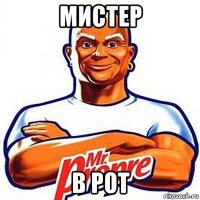 мистер в рот