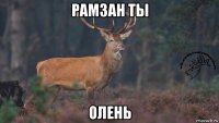 рамзан ты олень