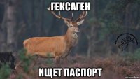 гексаген ищет паспорт