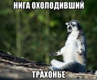 нига охолодивший трахонье