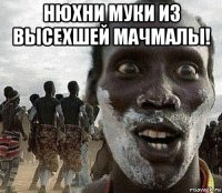 нюхни муки из высехшей мачмалы! 