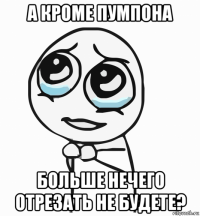 а кроме пумпона больше нечего отрезать не будете?