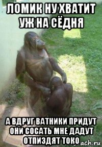 ломик ну хватит уж на сёдня а вдруг ватники придут они сосать мне дадут отпиздят токо