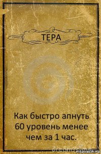 ТЕРА Как быстро апнуть 60 уровень менее чем за 1 час.